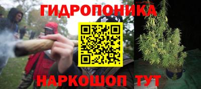 дживик Будённовск