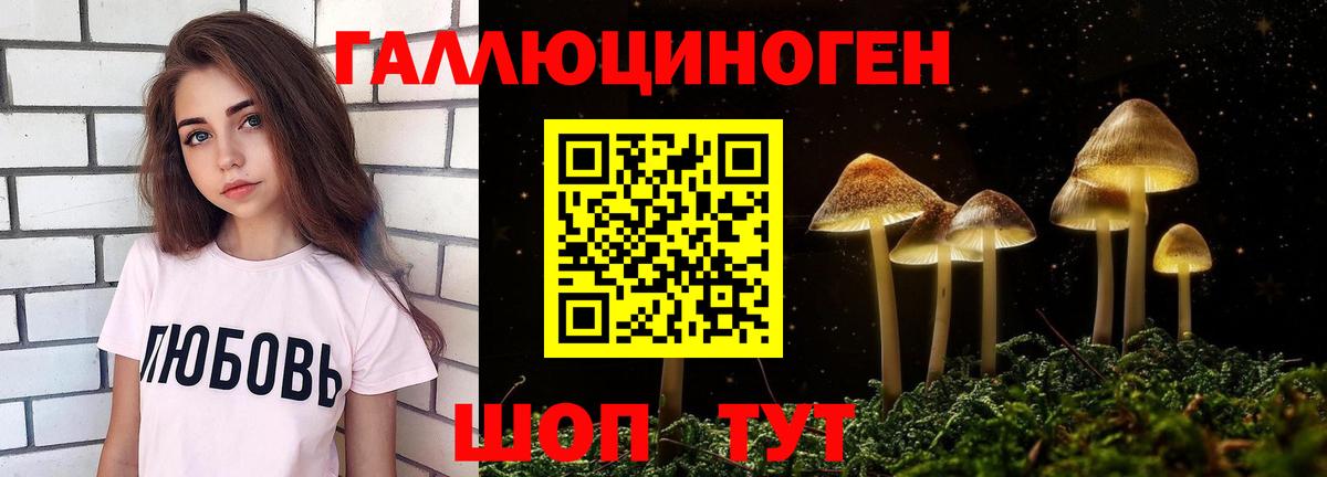 Псилоцибиновые грибы мицелий  Вход с VPN  Сертолово 